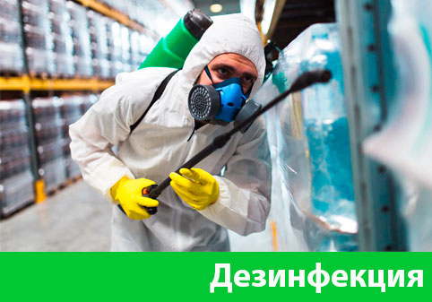 Дезинфекция в городе Дмитров