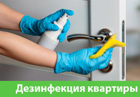 Дезинфекция квартиры в городе Дмитров