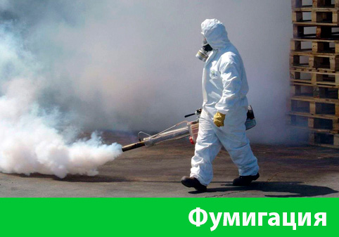 Фумигация в городе Дмитров