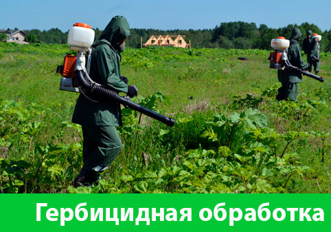 Гербицидная обработка в городе Дмитров