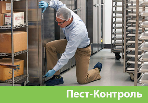 Пэст-Контроль в городе Дмитров