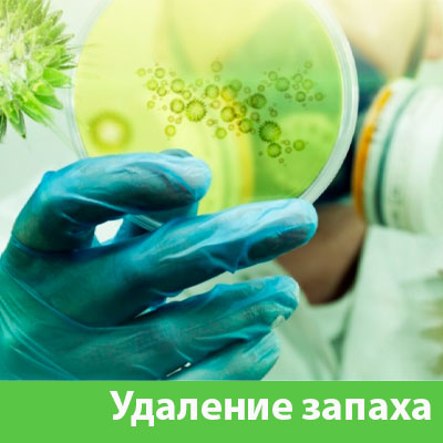 Удаление запахов в Дмитрове