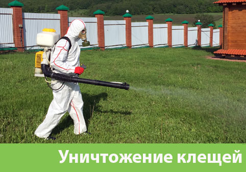 Уничтожение клещей в городе Дмитров