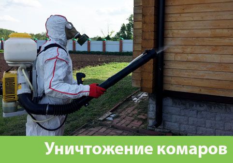 Уничтожение комаров в городе Дмитров