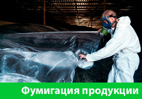 Фумигация продукции в городе Дмитров